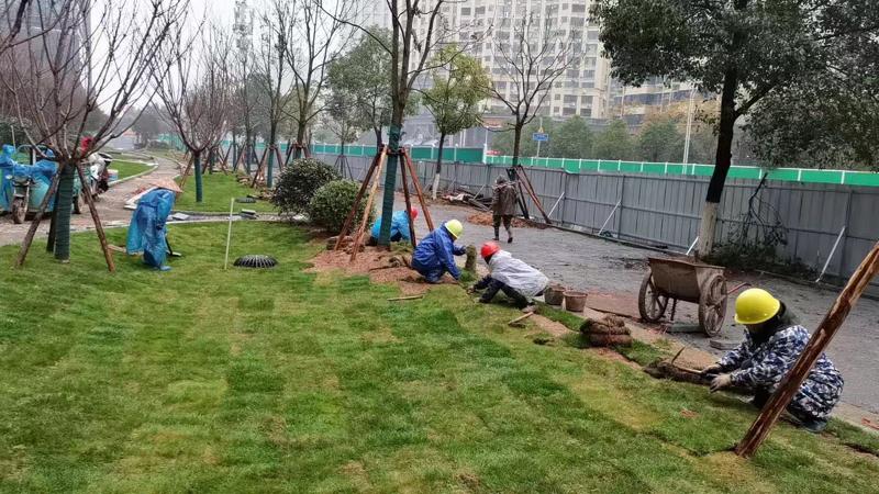 綠化（huà）工程1