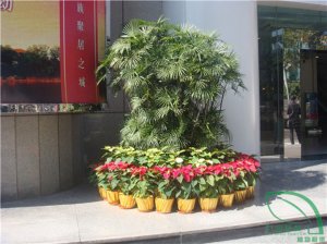 寫字樓門（mén）口