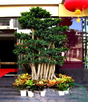 室（shì）外組合1