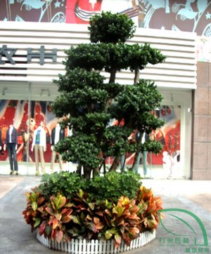 室外（wài）組合4